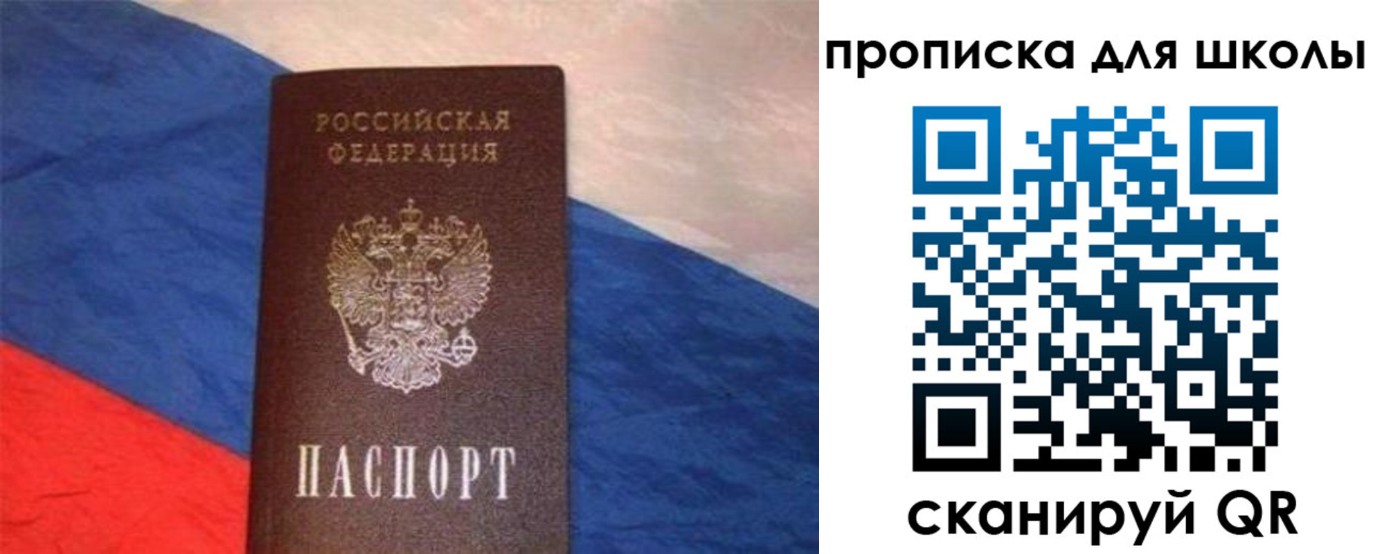 прописка поиск в Сосновке